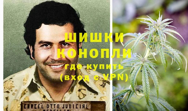 прущие грибы Богородицк